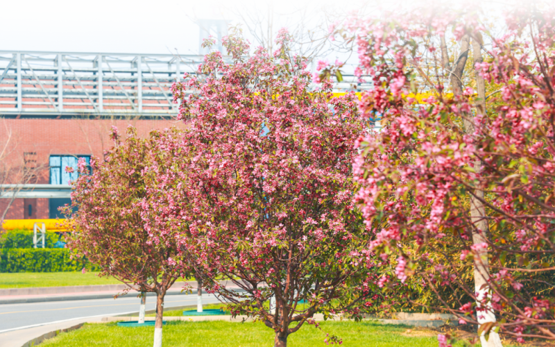 榮程視覺(jué) - 來(lái)，一起走進(jìn)春天里的榮程鋼鐵