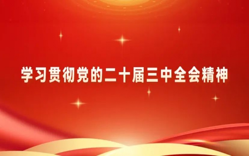 學習貫徹黨的二十屆三中全會精神 - 榮程青年為推進中國式現(xiàn)代化挺膺擔當（二）